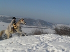 Photo 50