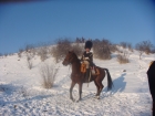Photo 33