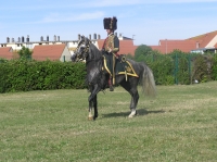 Photo 49